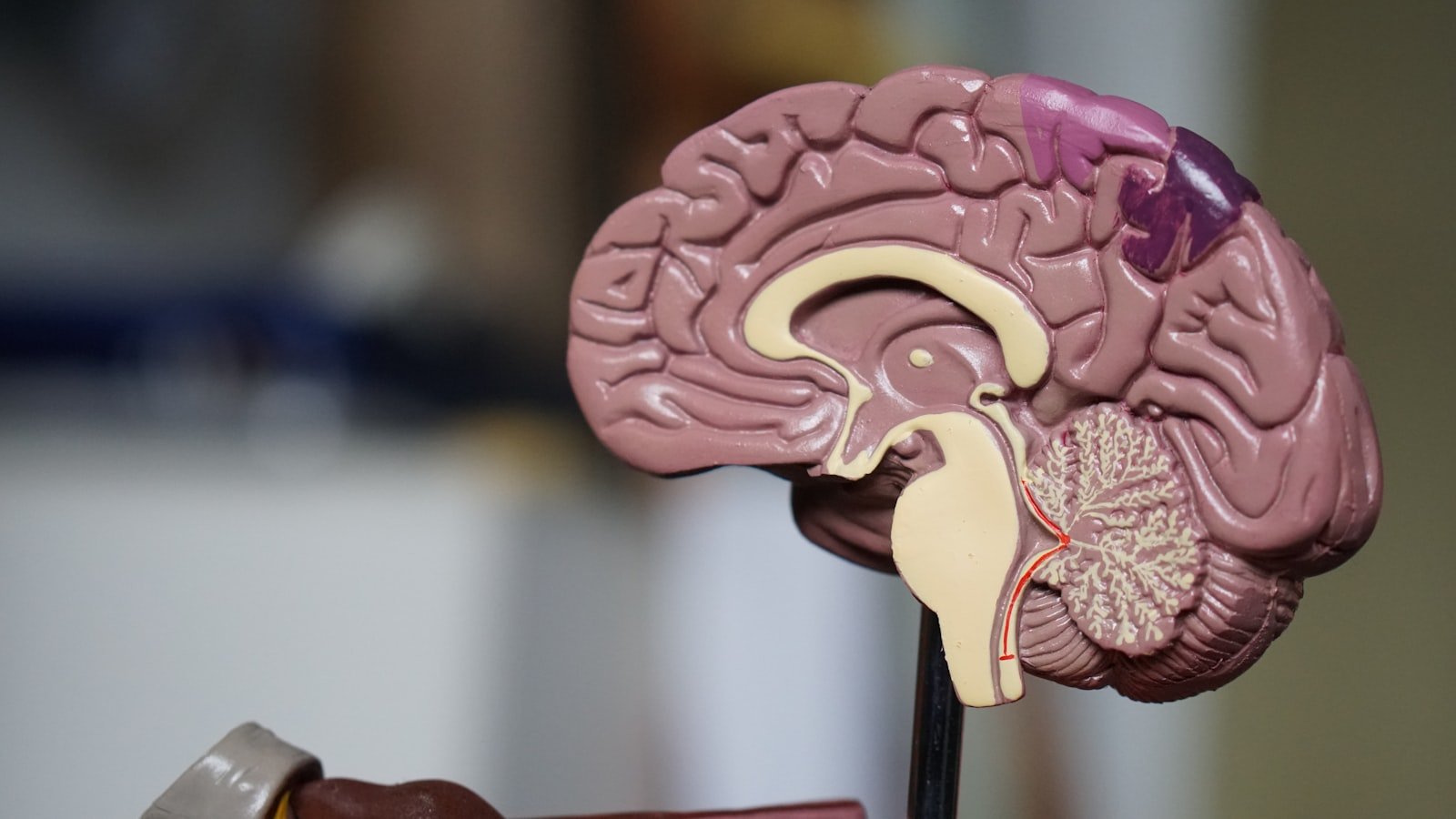 Liver Health: Fatty Liver Disease is the New Silent Epidemic